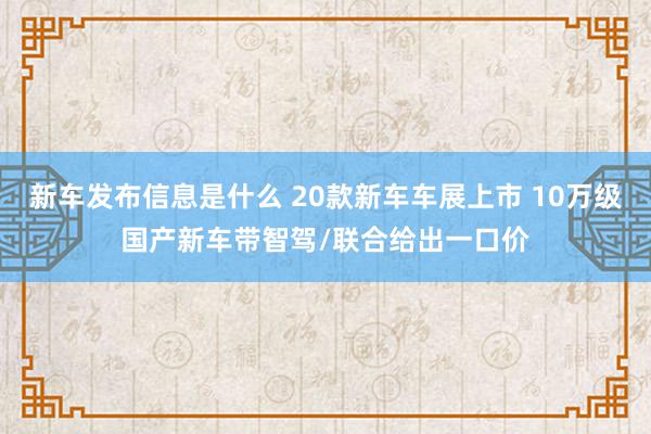 新车发布信息是什么 20款新车车展上市 10万级国产新车带智驾/联合给出一口价