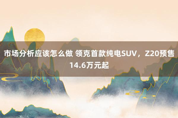 市场分析应该怎么做 领克首款纯电SUV，Z20预售14.6万元起