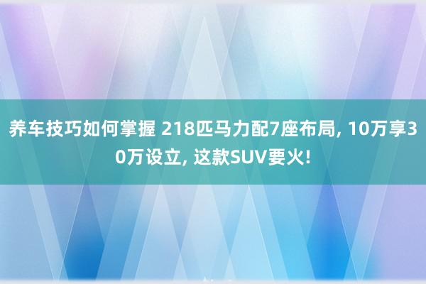 养车技巧如何掌握 218匹马力配7座布局, 10万享30万设立, 这款SUV要火!