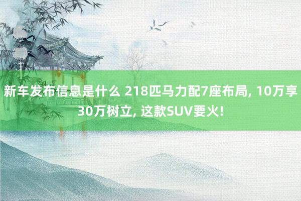 新车发布信息是什么 218匹马力配7座布局, 10万享30万树立, 这款SUV要火!