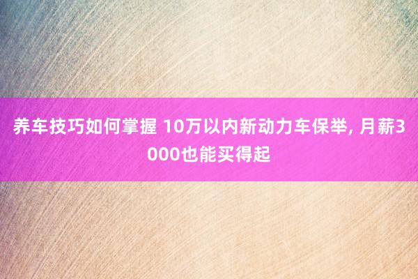 养车技巧如何掌握 10万以内新动力车保举, 月薪3000也能买得起