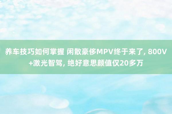 养车技巧如何掌握 闲散豪侈MPV终于来了, 800V+激光智驾, 绝好意思颜值仅20多万