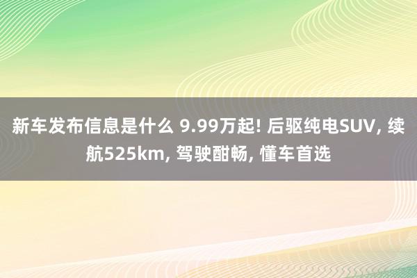 新车发布信息是什么 9.99万起! 后驱纯电SUV, 续航525km, 驾驶酣畅, 懂车首选