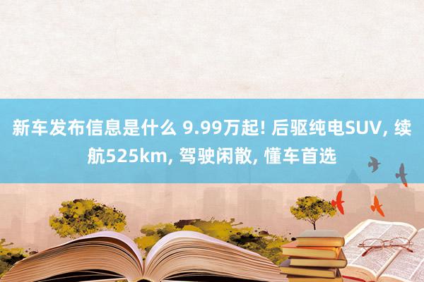 新车发布信息是什么 9.99万起! 后驱纯电SUV, 续航525km, 驾驶闲散, 懂车首选