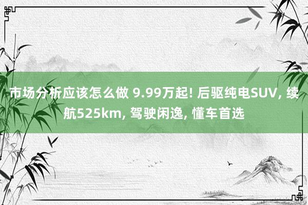 市场分析应该怎么做 9.99万起! 后驱纯电SUV, 续航525km, 驾驶闲逸, 懂车首选