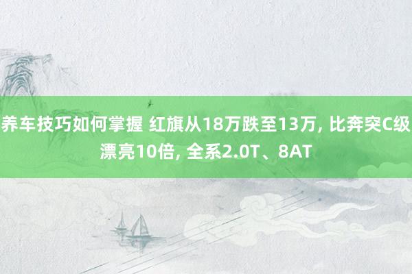 养车技巧如何掌握 红旗从18万跌至13万, 比奔突C级漂亮10倍, 全系2.0T、8AT