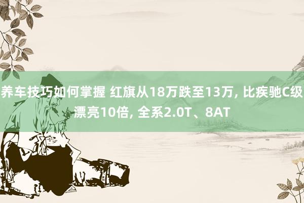 养车技巧如何掌握 红旗从18万跌至13万, 比疾驰C级漂亮10倍, 全系2.0T、8AT