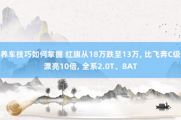 养车技巧如何掌握 红旗从18万跌至13万, 比飞奔C级漂亮10倍, 全系2.0T、8AT