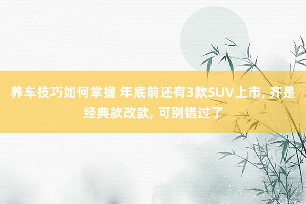 养车技巧如何掌握 年底前还有3款SUV上市, 齐是经典款改款, 可别错过了