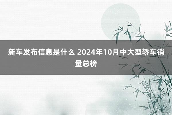 新车发布信息是什么 2024年10月中大型轿车销量总榜