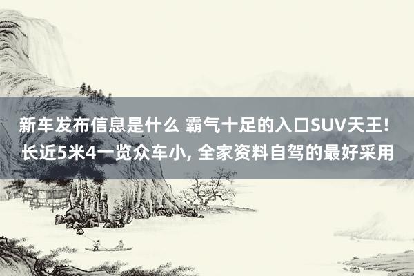 新车发布信息是什么 霸气十足的入口SUV天王! 长近5米4一览众车小, 全家资料自驾的最好采用