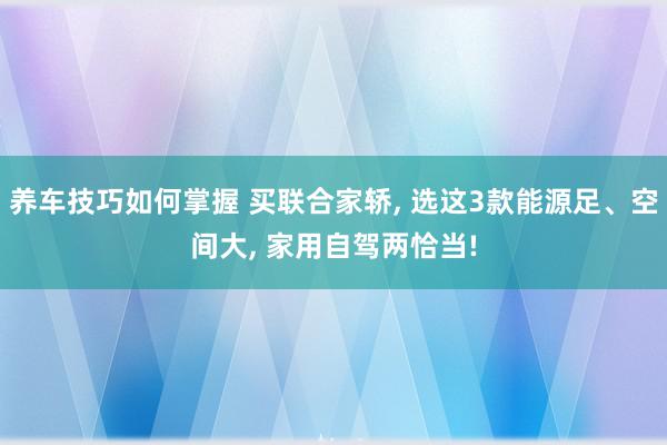 养车技巧如何掌握 买联合家轿, 选这3款能源足、空间大, 家用自驾两恰当!