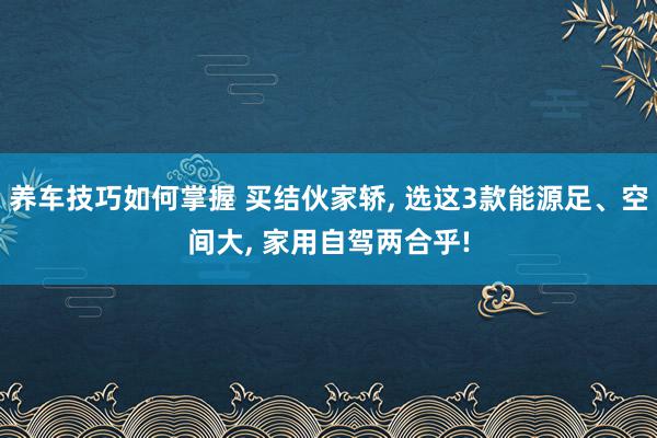 养车技巧如何掌握 买结伙家轿, 选这3款能源足、空间大, 家用自驾两合乎!