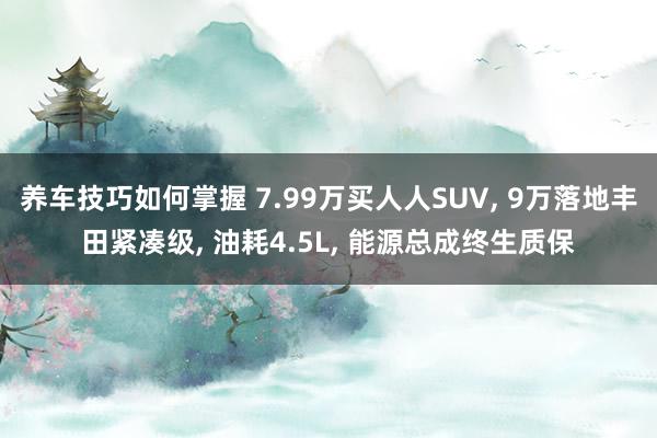 养车技巧如何掌握 7.99万买人人SUV, 9万落地丰田紧凑级, 油耗4.5L, 能源总成终生质保