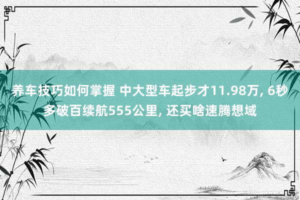 养车技巧如何掌握 中大型车起步才11.98万, 6秒多破百续航555公里, 还买啥速腾想域