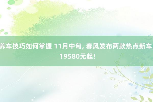 养车技巧如何掌握 11月中旬, 春风发布两款热点新车, 19580元起!