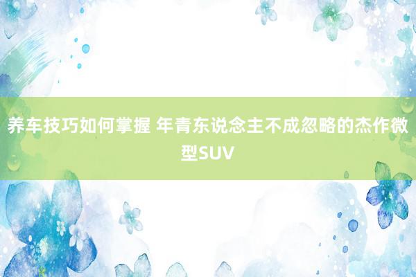 养车技巧如何掌握 年青东说念主不成忽略的杰作微型SUV