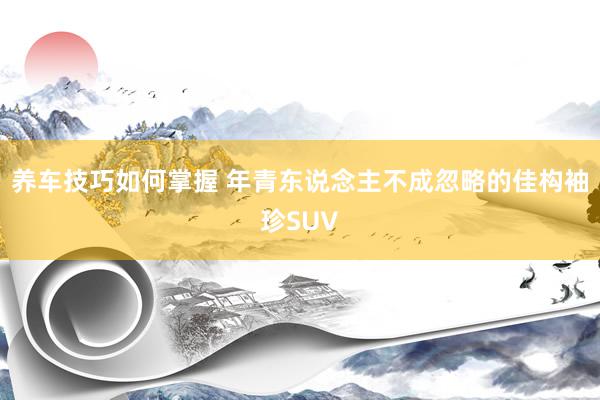 养车技巧如何掌握 年青东说念主不成忽略的佳构袖珍SUV