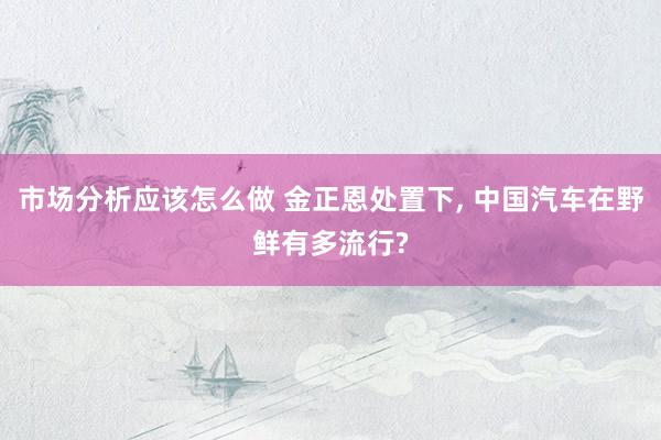 市场分析应该怎么做 金正恩处置下, 中国汽车在野鲜有多流行?