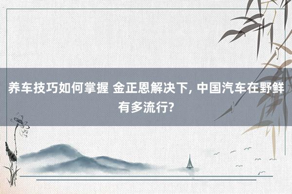 养车技巧如何掌握 金正恩解决下, 中国汽车在野鲜有多流行?