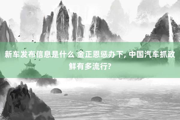 新车发布信息是什么 金正恩惩办下, 中国汽车抓政鲜有多流行?