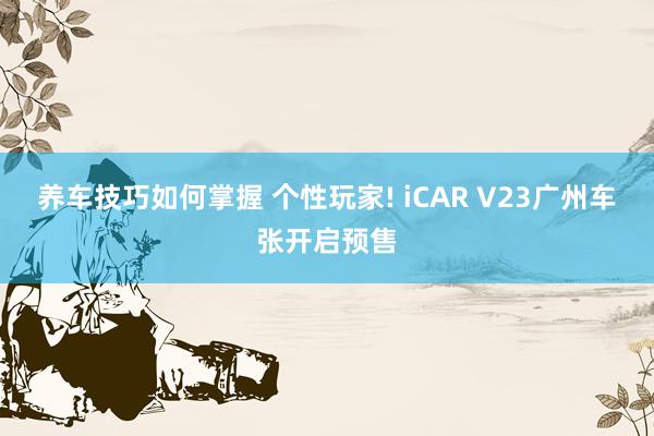 养车技巧如何掌握 个性玩家! iCAR V23广州车张开启预售