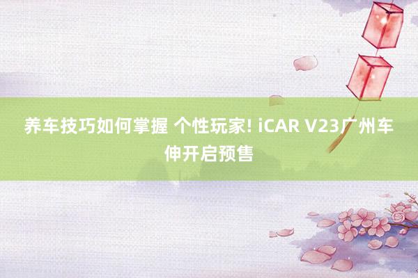 养车技巧如何掌握 个性玩家! iCAR V23广州车伸开启预售