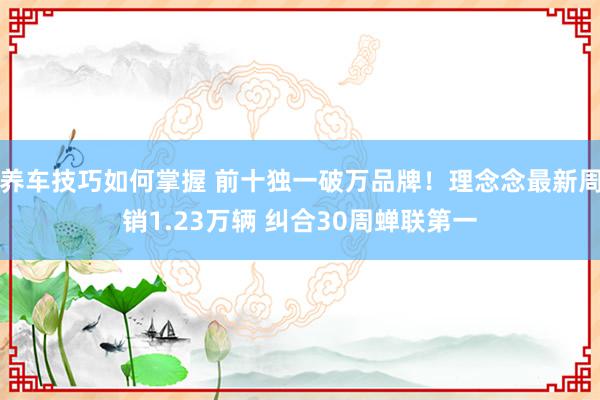 养车技巧如何掌握 前十独一破万品牌！理念念最新周销1.23万辆 纠合30周蝉联第一