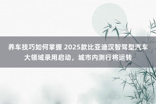 养车技巧如何掌握 2025款比亚迪汉智驾型汽车大领域录用启动，城市内测行将运转