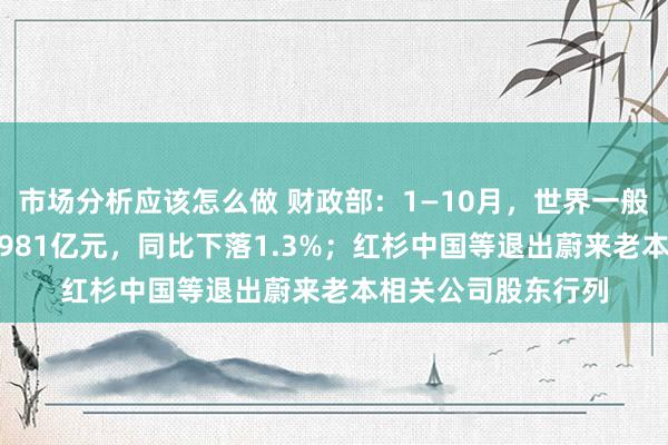 市场分析应该怎么做 财政部：1—10月，世界一般大家预算收入184981亿元，同比下落1.3%；红杉中国等退出蔚来老本相关公司股东行列