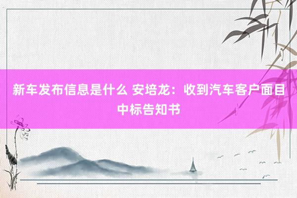 新车发布信息是什么 安培龙：收到汽车客户面目中标告知书