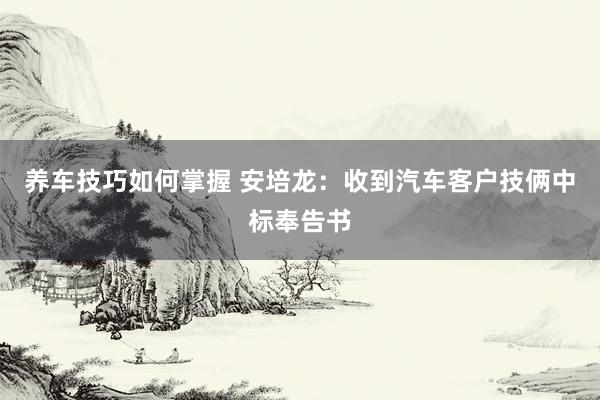 养车技巧如何掌握 安培龙：收到汽车客户技俩中标奉告书