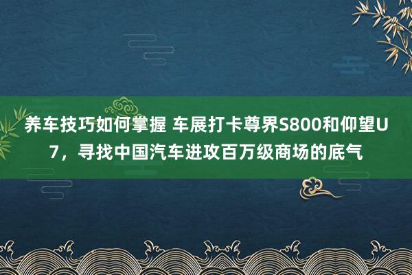 养车技巧如何掌握 车展打卡尊界S800和仰望U7，寻找中国汽车进攻百万级商场的底气