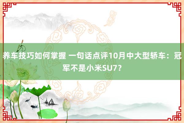 养车技巧如何掌握 一句话点评10月中大型轿车：冠军不是小米SU7？