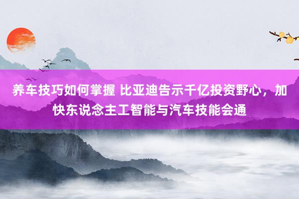 养车技巧如何掌握 比亚迪告示千亿投资野心，加快东说念主工智能与汽车技能会通