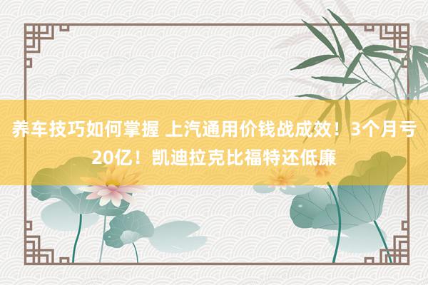 养车技巧如何掌握 上汽通用价钱战成效！3个月亏20亿！凯迪拉克比福特还低廉