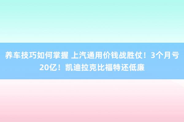 养车技巧如何掌握 上汽通用价钱战胜仗！3个月亏20亿！凯迪拉克比福特还低廉