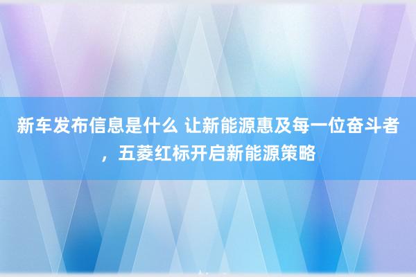 新车发布信息是什么 让新能源惠及每一位奋斗者，五菱红标开启新能源策略