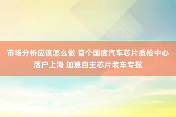 市场分析应该怎么做 首个国度汽车芯片质检中心落户上海 加速自主芯片装车专揽