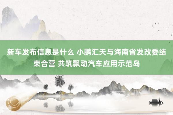 新车发布信息是什么 小鹏汇天与海南省发改委结束合营 共筑飘动汽车应用示范岛