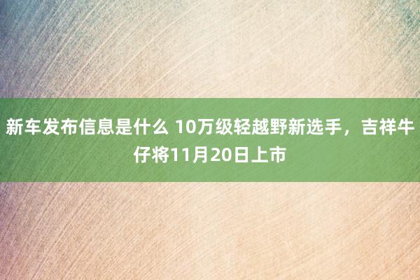 新车发布信息是什么 10万级轻越野新选手，吉祥牛仔将11月20日上市