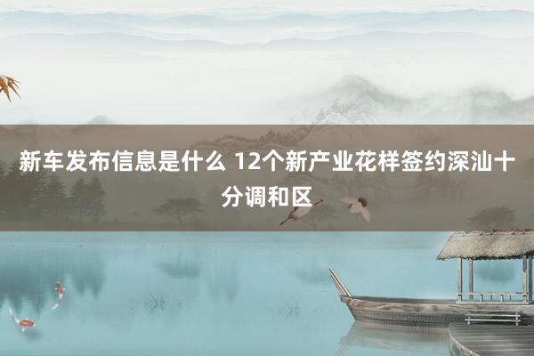 新车发布信息是什么 12个新产业花样签约深汕十分调和区