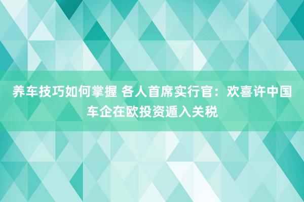 养车技巧如何掌握 各人首席实行官：欢喜许中国车企在欧投资遁入关税