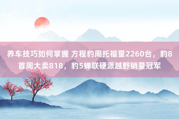 养车技巧如何掌握 方程豹周托福量2260台，豹8首周大卖818，豹5蝉联硬派越野销量冠军