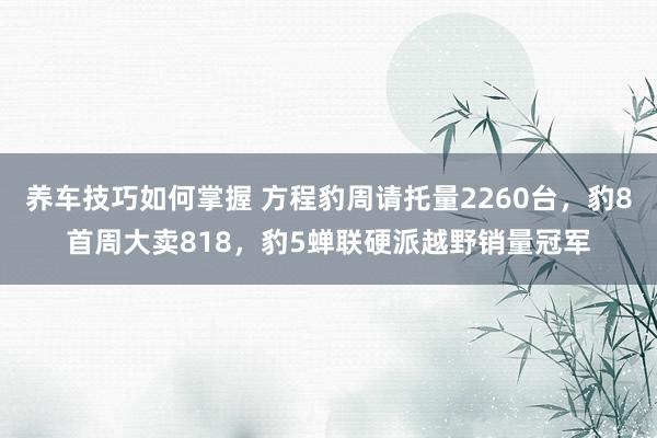 养车技巧如何掌握 方程豹周请托量2260台，豹8首周大卖818，豹5蝉联硬派越野销量冠军