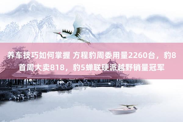 养车技巧如何掌握 方程豹周委用量2260台，豹8首周大卖818，豹5蝉联硬派越野销量冠军