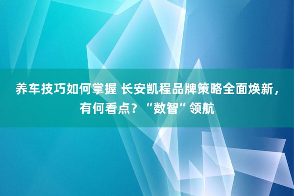 养车技巧如何掌握 长安凯程品牌策略全面焕新，有何看点？“数智”领航