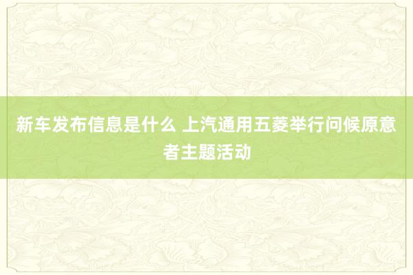 新车发布信息是什么 上汽通用五菱举行问候原意者主题活动