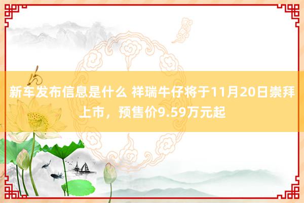 新车发布信息是什么 祥瑞牛仔将于11月20日崇拜上市，预售价9.59万元起