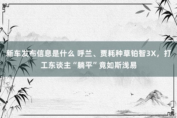 新车发布信息是什么 呼兰、贾耗种草铂智3X，打工东谈主“躺平”竟如斯浅易